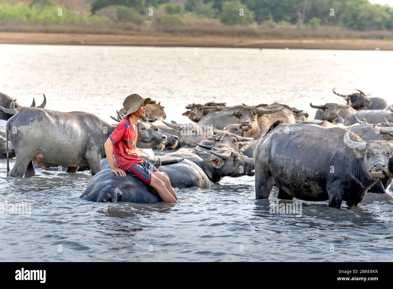 Phan Thiet, Binh Thuan Province, Vietnam - May 16, 2020: Vietnam Rural ...