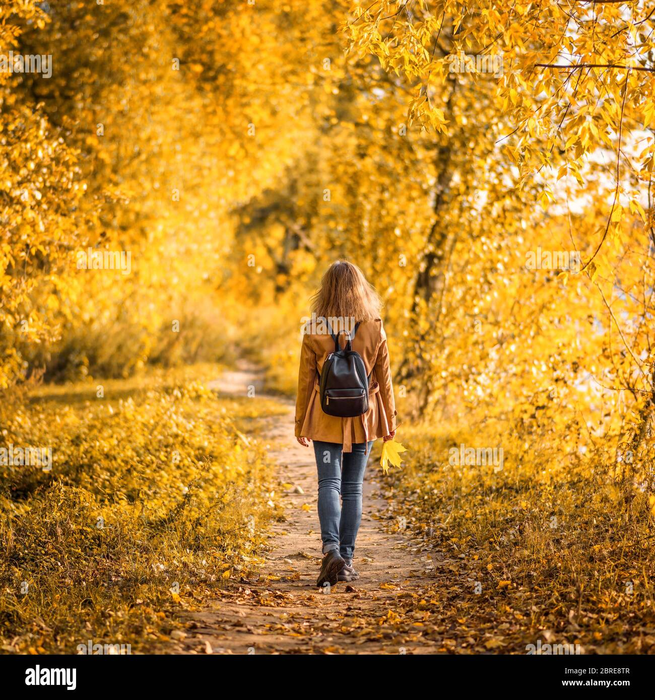 Woman in autumn park, back view. Adult girl walking away alone on path in  autumn forest. Lonely young woman with backpack in beige autumn jacket.  Beau Stock Photo - Alamy