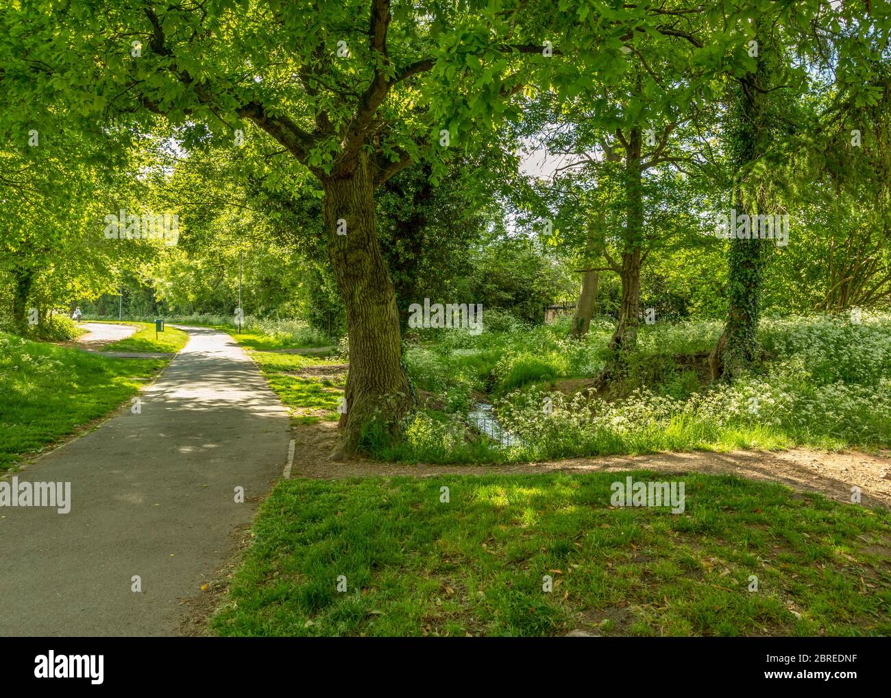 Throckmorton hires stock photography and images Alamy