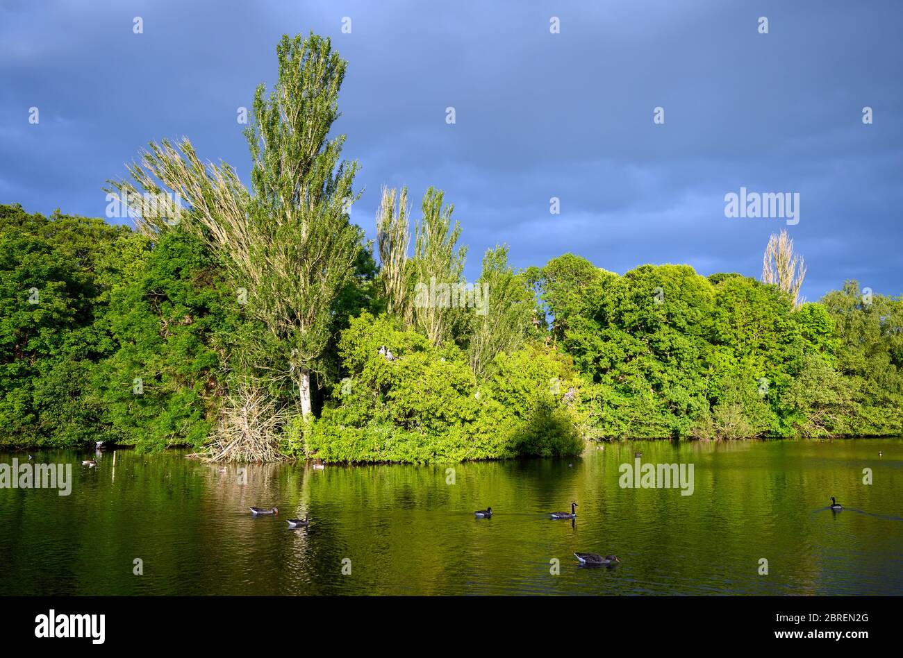 Kelsey park, beckenham 2bren2g hires stock photography and images Alamy