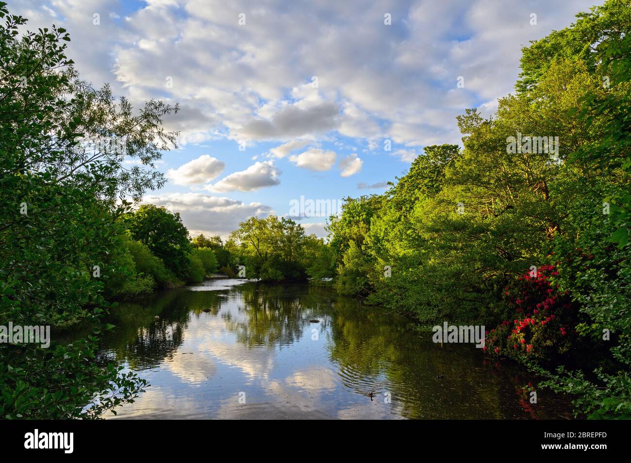 Kelsey Park, Beckenham, London with white clouds and trees reflected in
