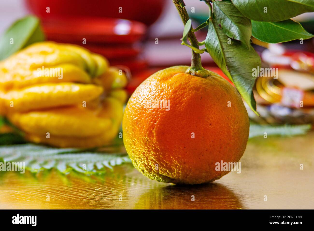 Japanese Bitter Orange Stock Photo Alamy