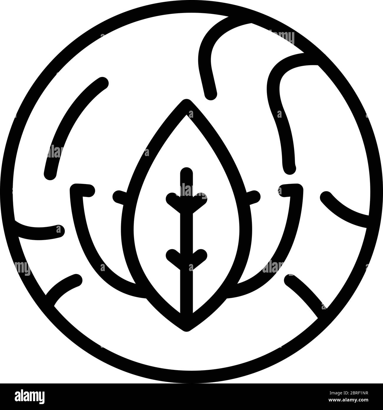 Eco nature earth icon, outline style Stock Vector Image & Art - Alamy