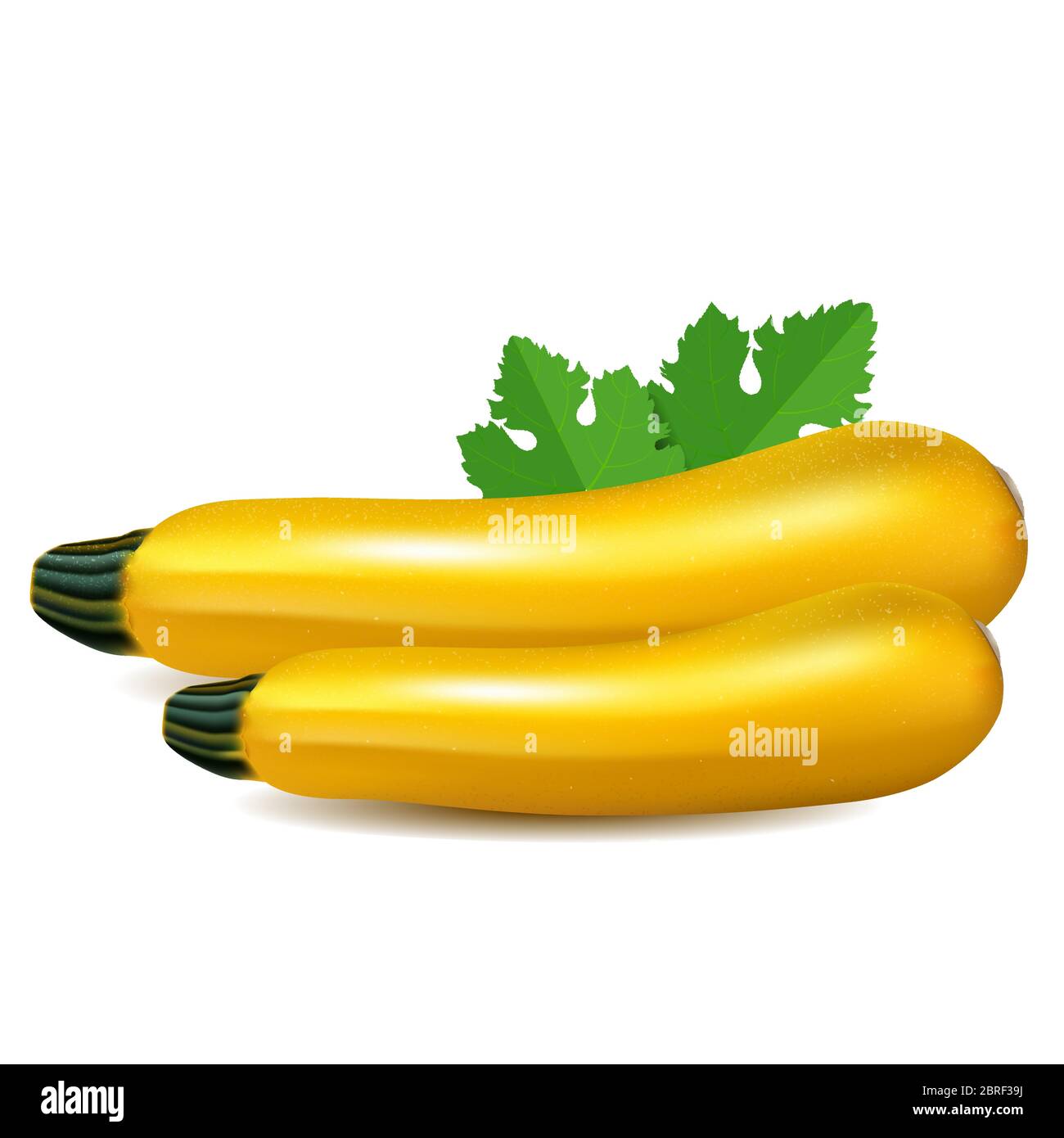 Yellow zucchini with leaf. Isolated on white background. Realistic vector illustration Stock