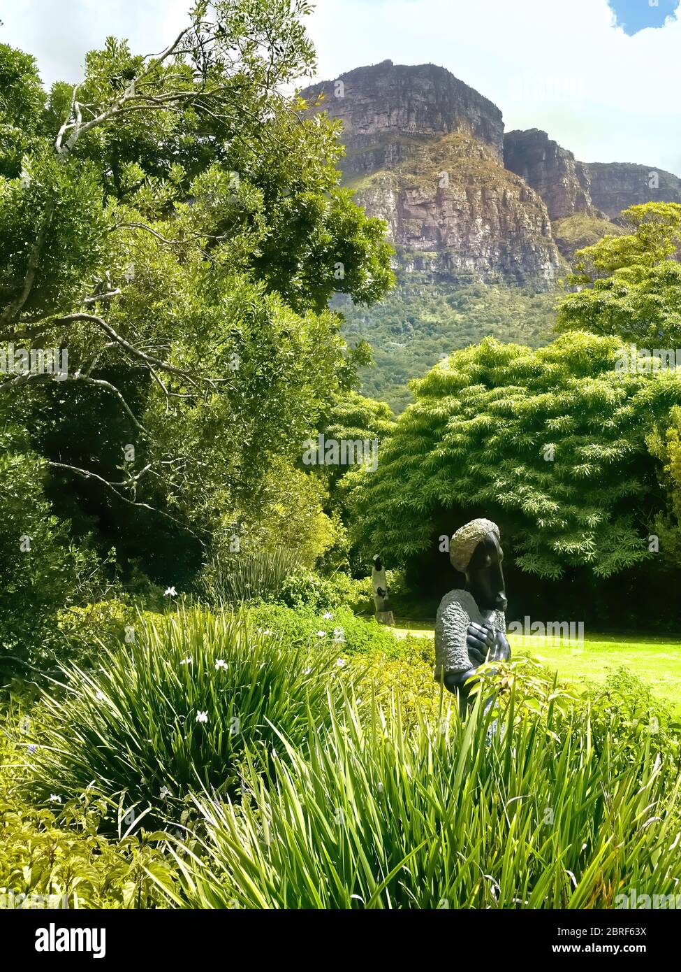 Kirstenbosch Botanical Gardens, South Africa Stock Photo