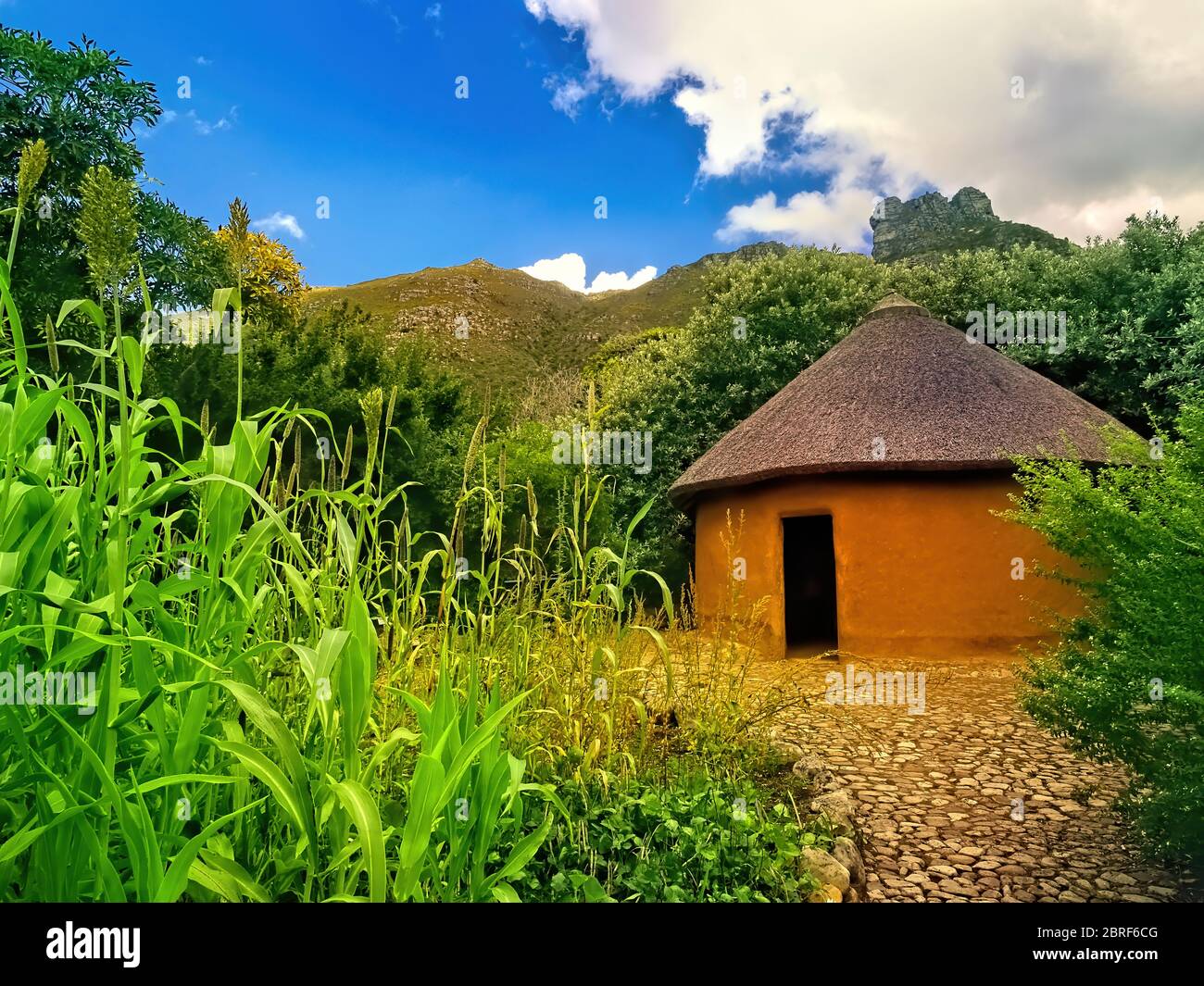 Kirstenbosch Botanical Gardens, South Africa Stock Photo