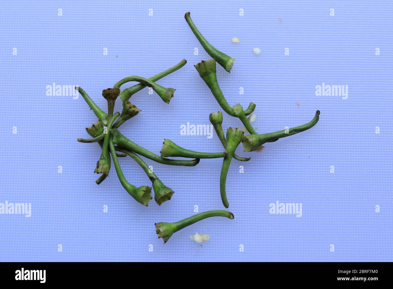 green cayenne pepper with a white background Stock Photo Alamy