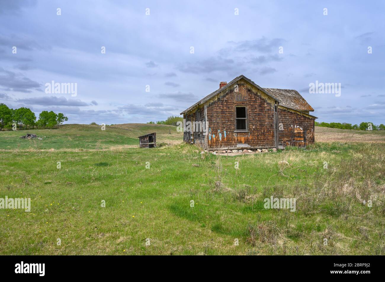 Old homestead house on the prairie near Big Valley, Alberta, Canada Stock Photo Alamy