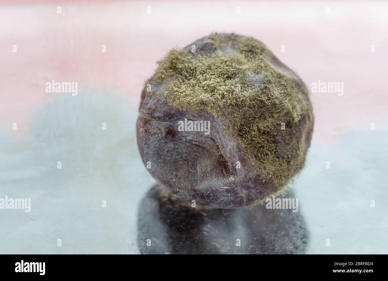 Mold on blueberry berry. Macro with selective focus Stock Photo Alamy