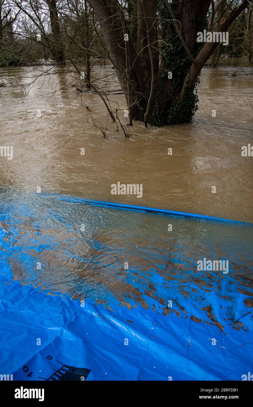 Flooding and Flood Defences, Leatherhead, Surrey, UK. Following Storm Daniel 16/2/20 Stock Photo
