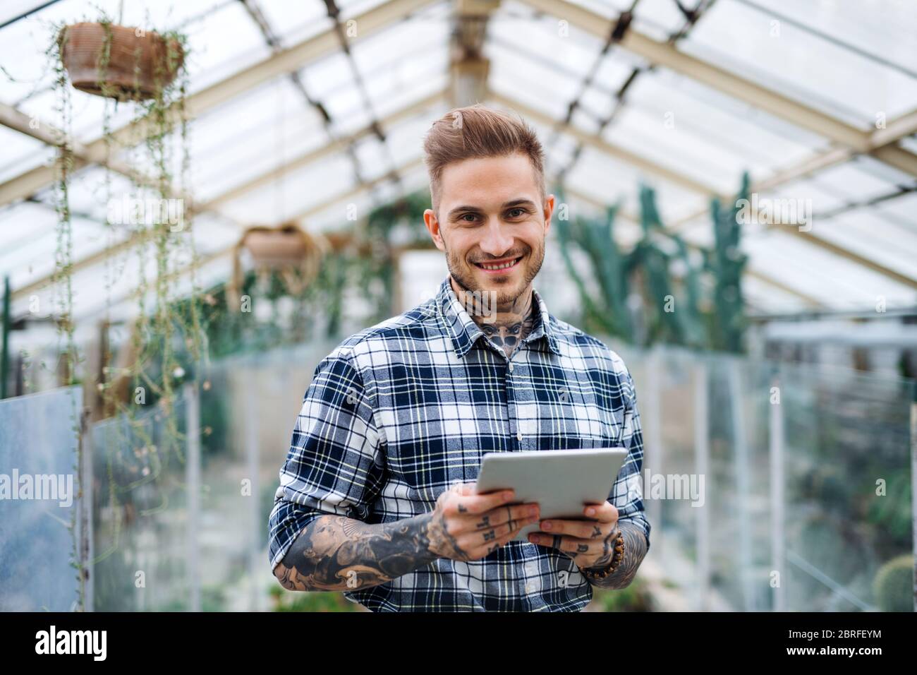 Man researcher standing in greenhouse, using tablet. Stock Photo