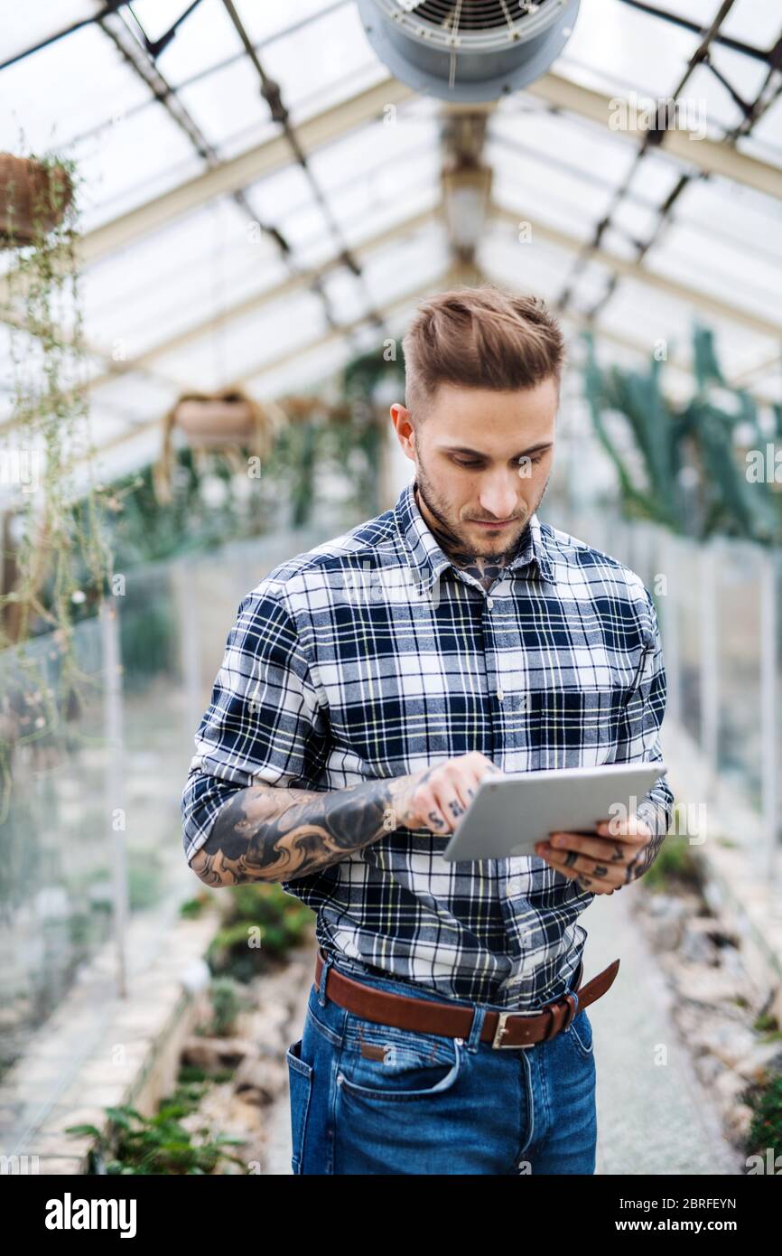 Man researcher standing in greenhouse, using tablet. Stock Photo