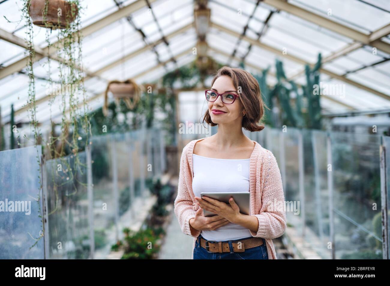 Woman researcher standing in greenhouse, using tablet. Stock Photo