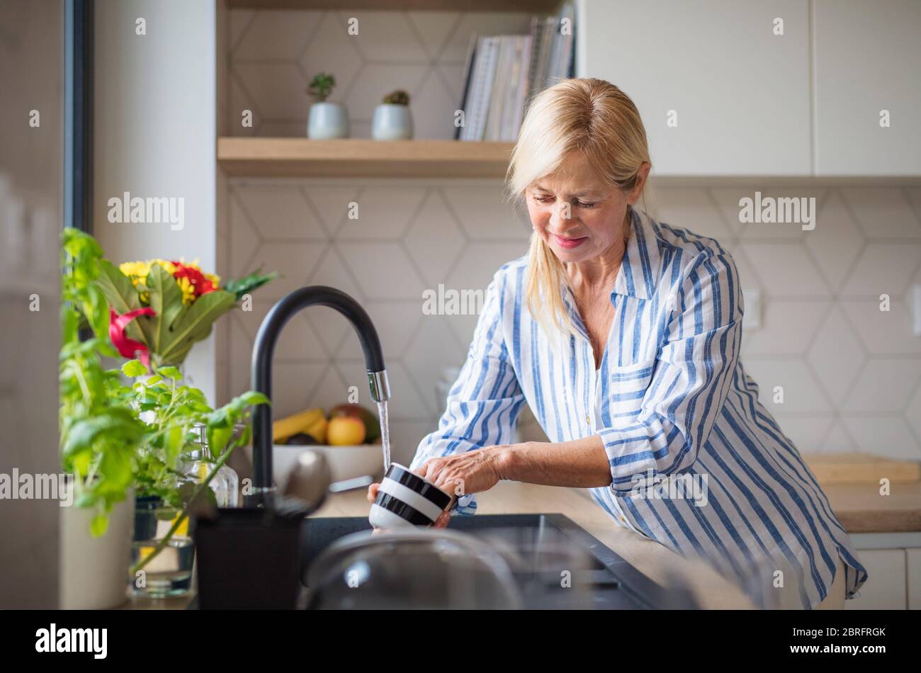Portrait of senior woman washing dishes indoors at home. Stock Photo