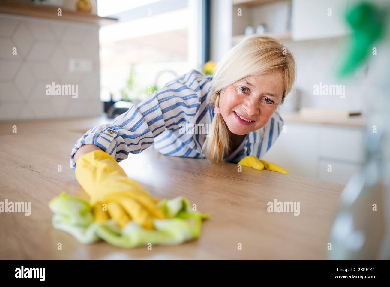 Portrait of senior woman cleaning kitchen counter indoors at home. Stock Photo