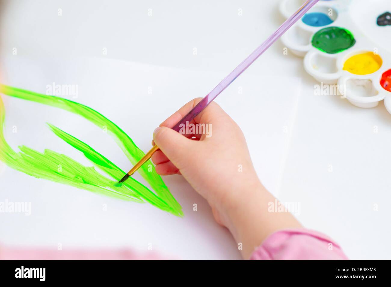 Close up of hand of child drawing green leaf by watercolors on white paper. Earth day concept. Stock Photo