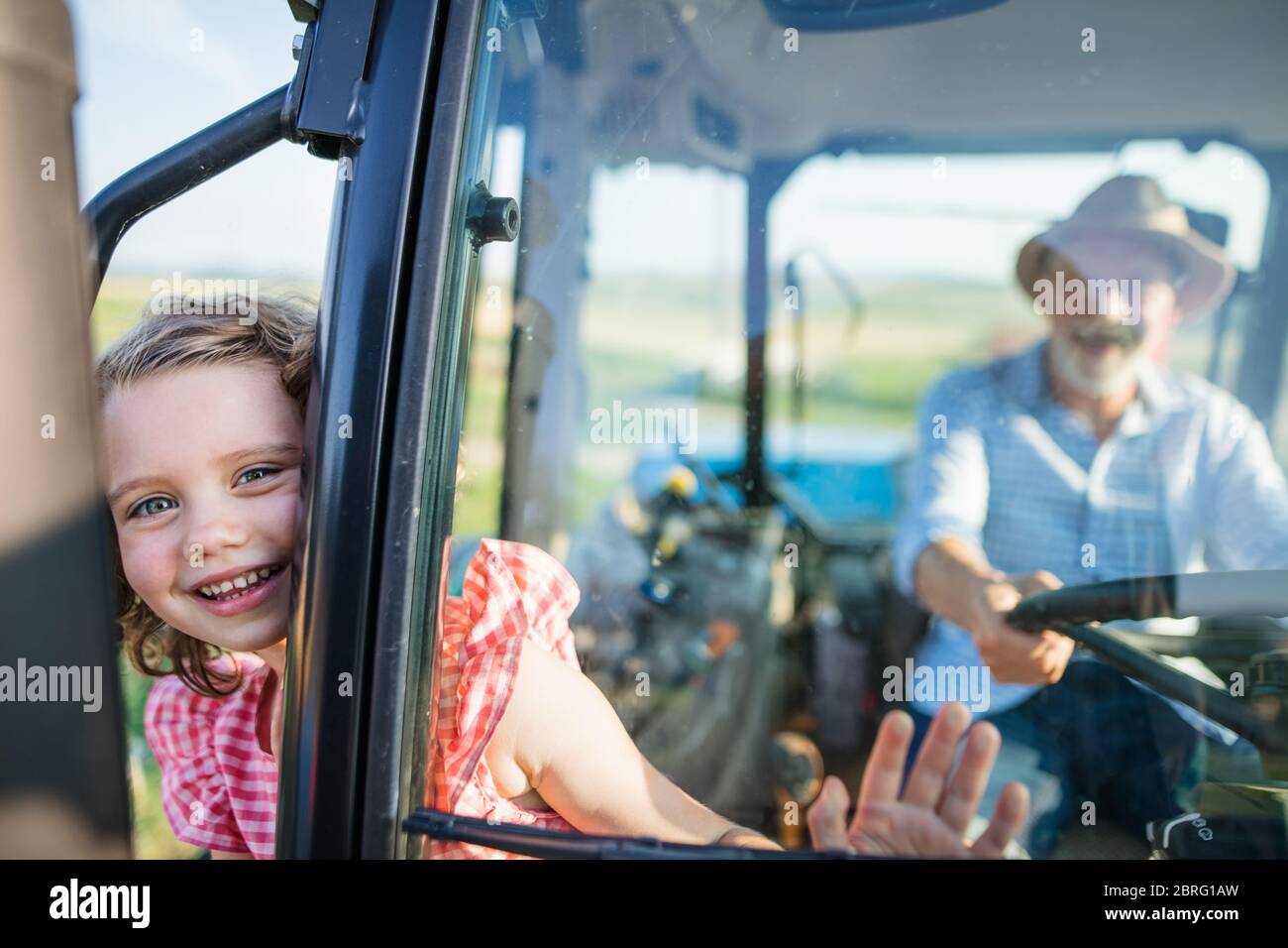 Senior farmer with small granddaughter sitting in tractor, driving. Stock Photo