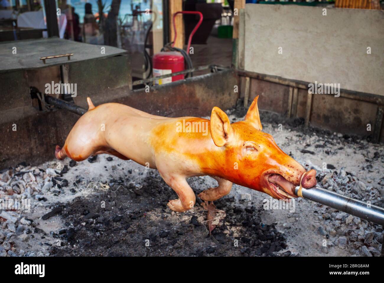 Suckling pig bbq roasted on a spit is a popular food in Philippines Stock Photo