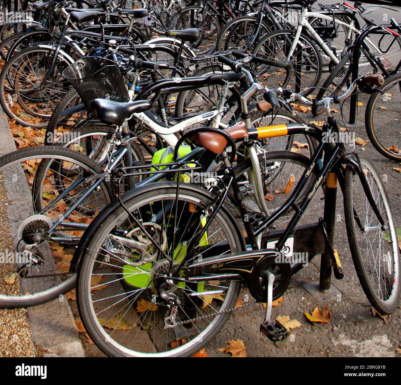 bicycle hoops