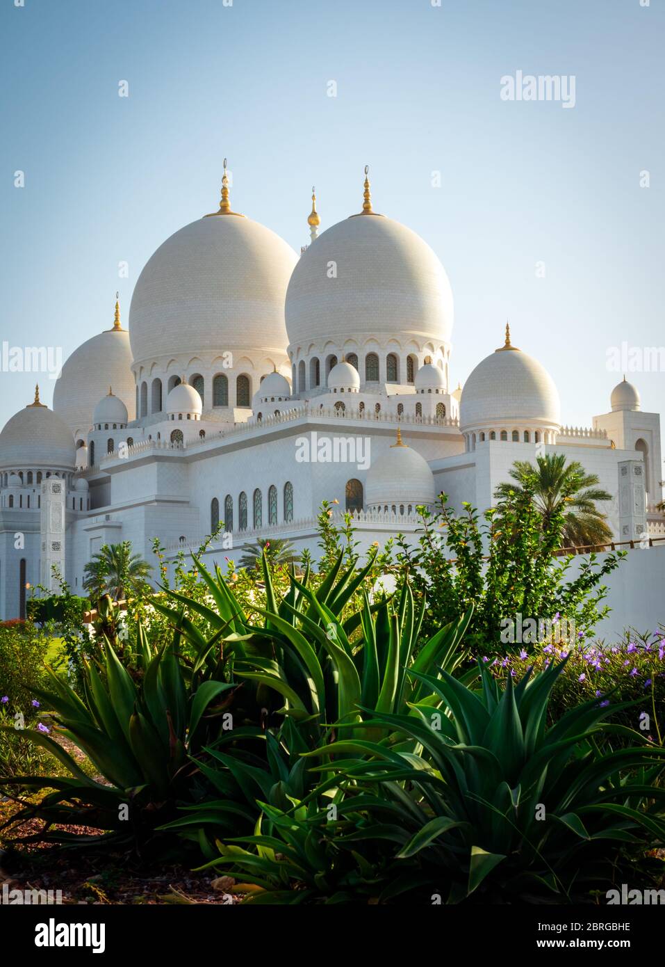 sheikh zayed grand mosque in abu dhabi intended by late president of UAE sheikh zayed bin sultan al nahyen Stock Photo