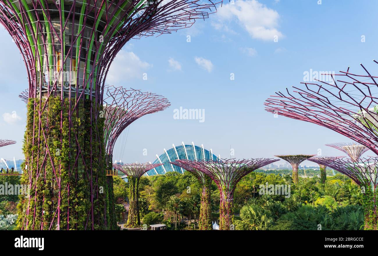 Supertree Grove is a large botanical garden in marina bay and is one of ...