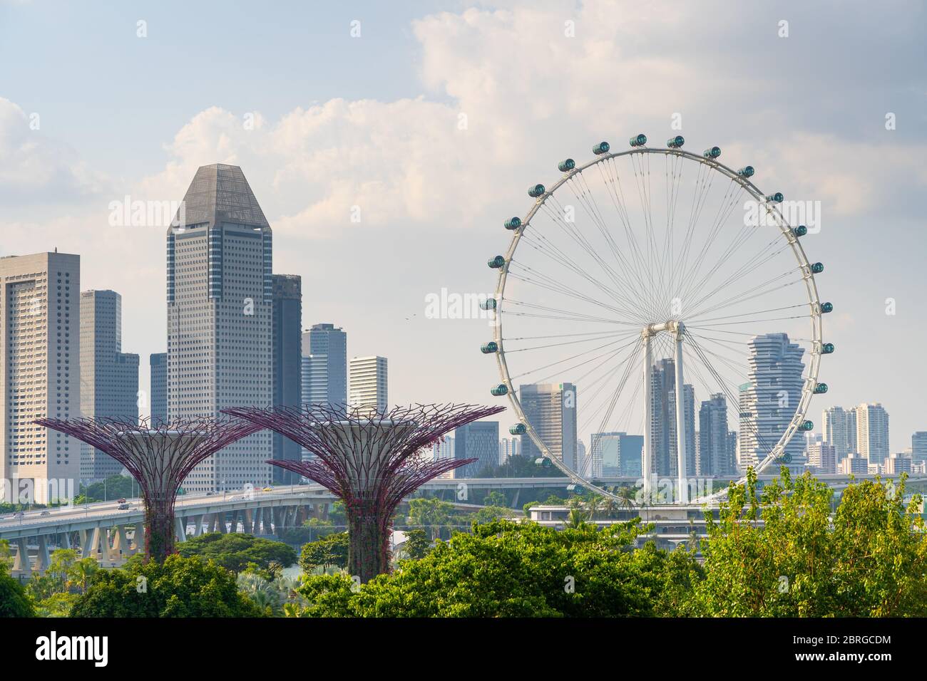 Supertree Grove is a large botanical garden in marina bay and is one of the most important attractions to visit Singapore and singapore flyer , skylin Stock Photo