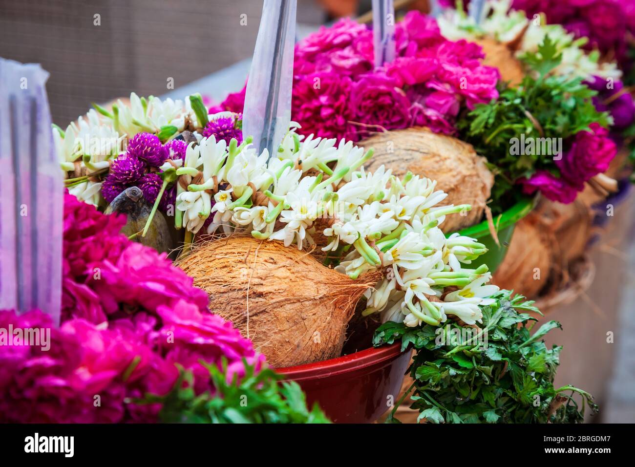 Coconut and flower offerings for holi puja in India Stock Photo