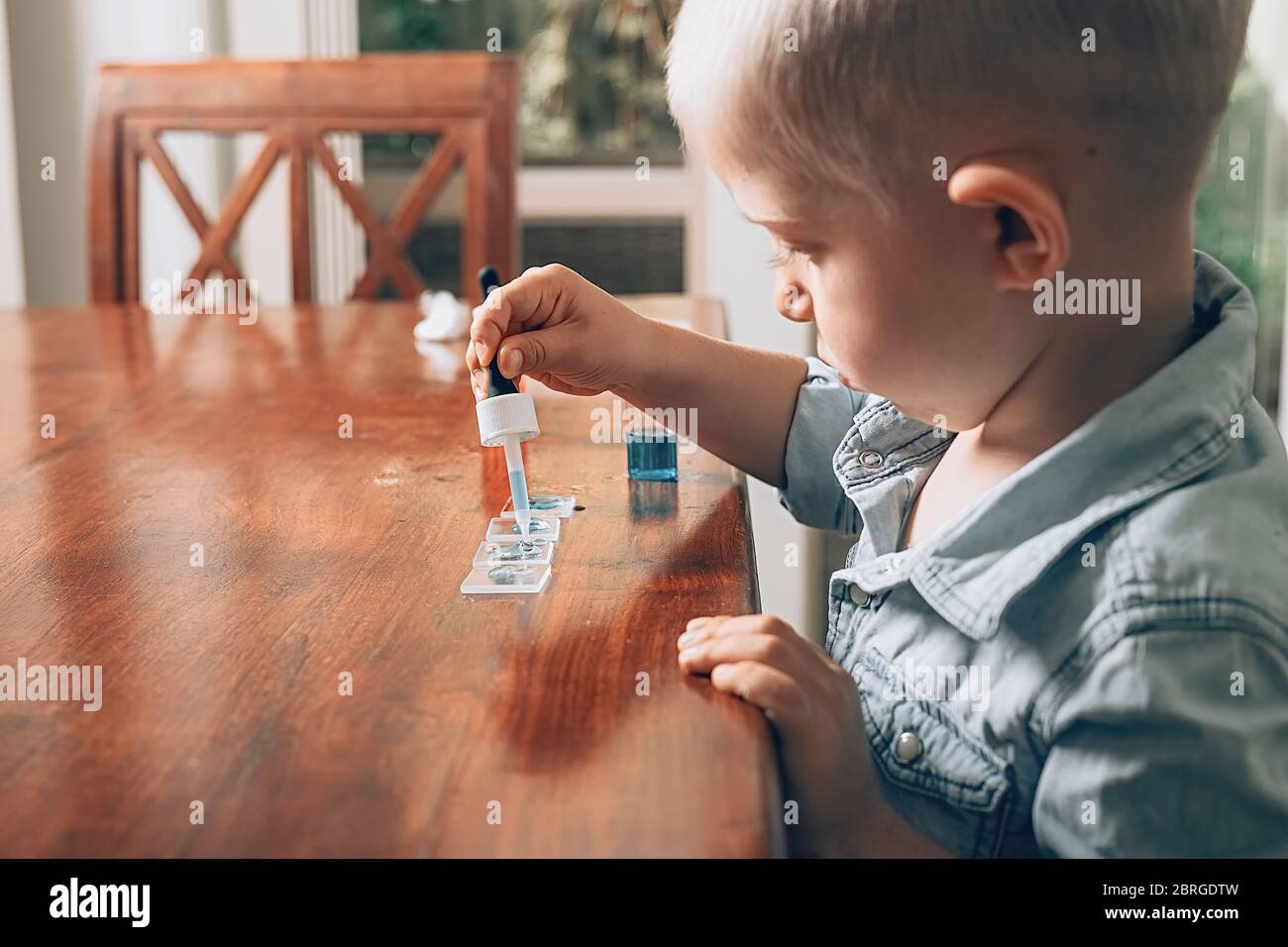 Little boy laboratory activity with colored water, pipette and pieces