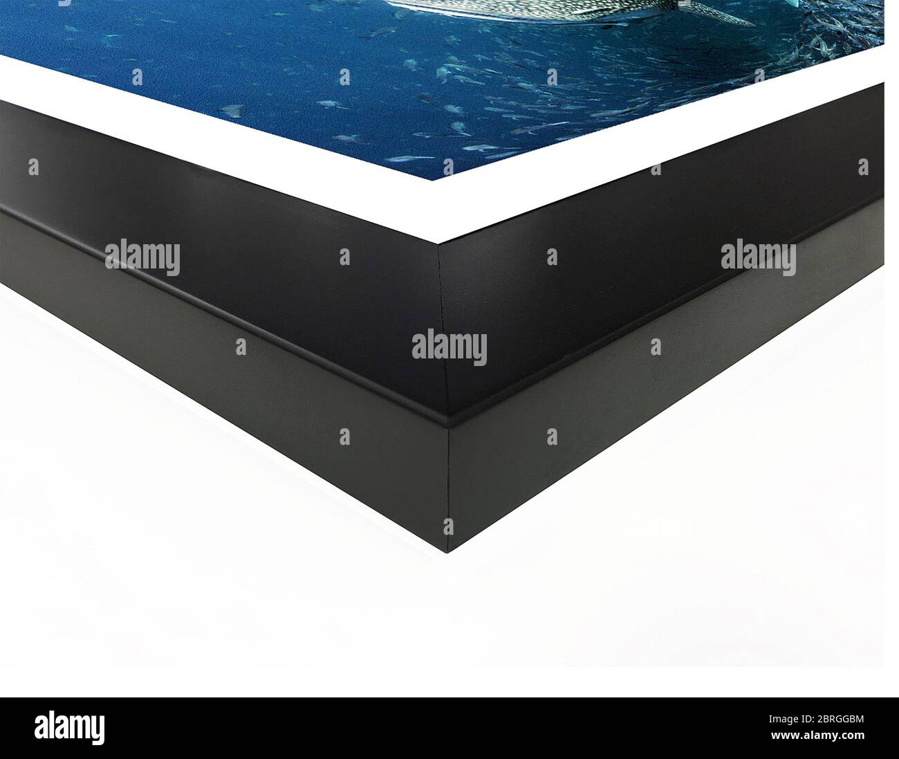 The corner and edge of a high quality wood photo frame complete with