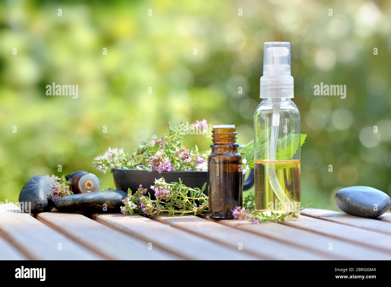 bottles of essential oil and flowers of aromatic herb on atable and on green background Stock Photo