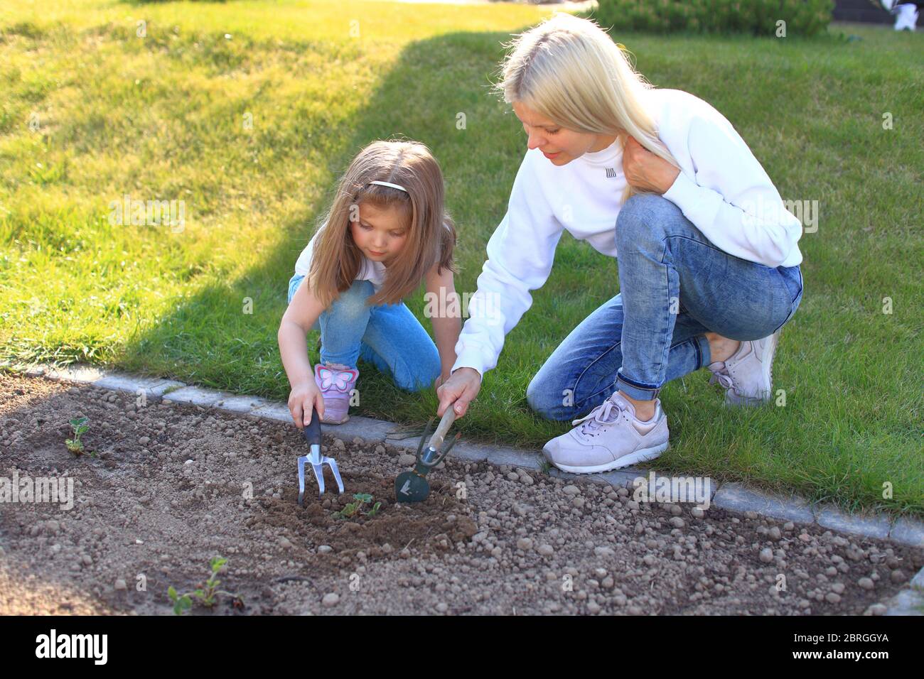 Mother and daughter plant a plant in the ground. y Stock Photo
