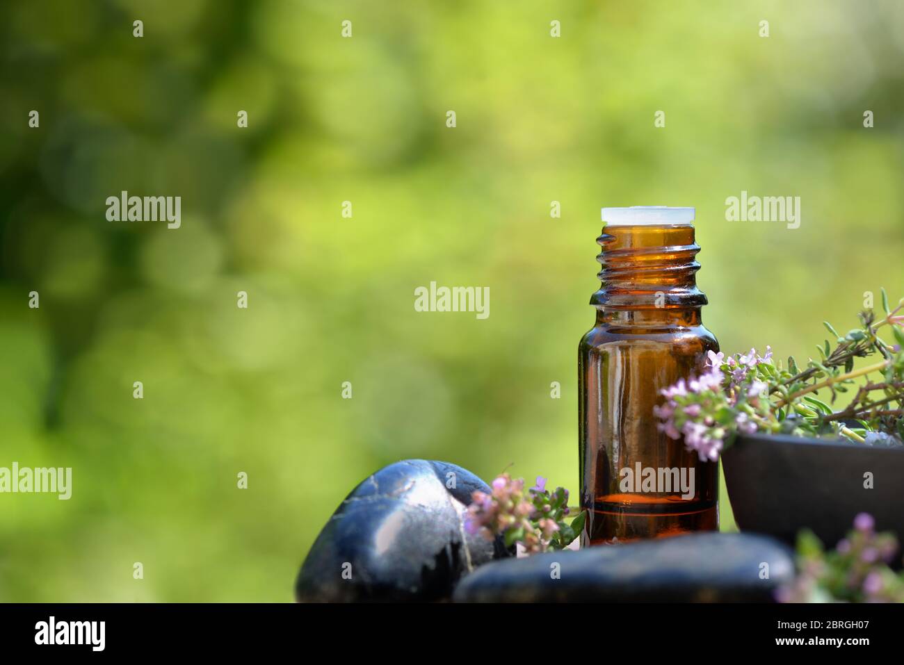 bottle of essential oil and flowers of aromatic herb on and pebble on green background Stock Photo