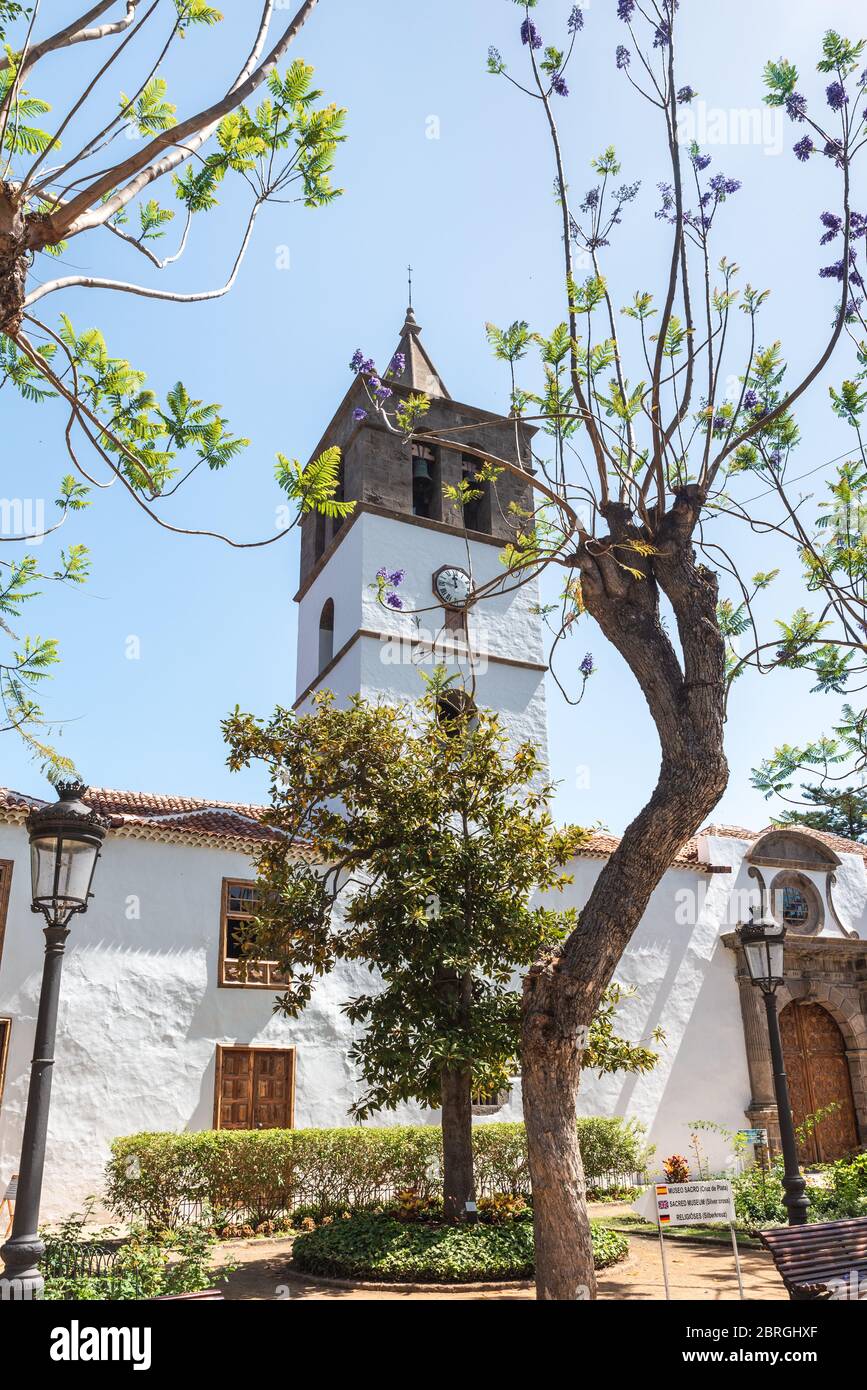 Spanish architecture at San Marcos church surrounded by trees, Tenerife - Canary Islands Stock Photo