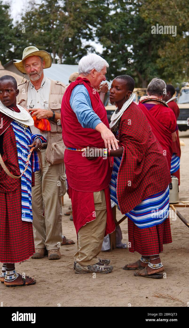 Maasai woman, wraps male visitor in tribal dress, arm moving, double beaded collar, tourists, safari, culture, red shukas, Tanzania; Africa, MR Stock Photo