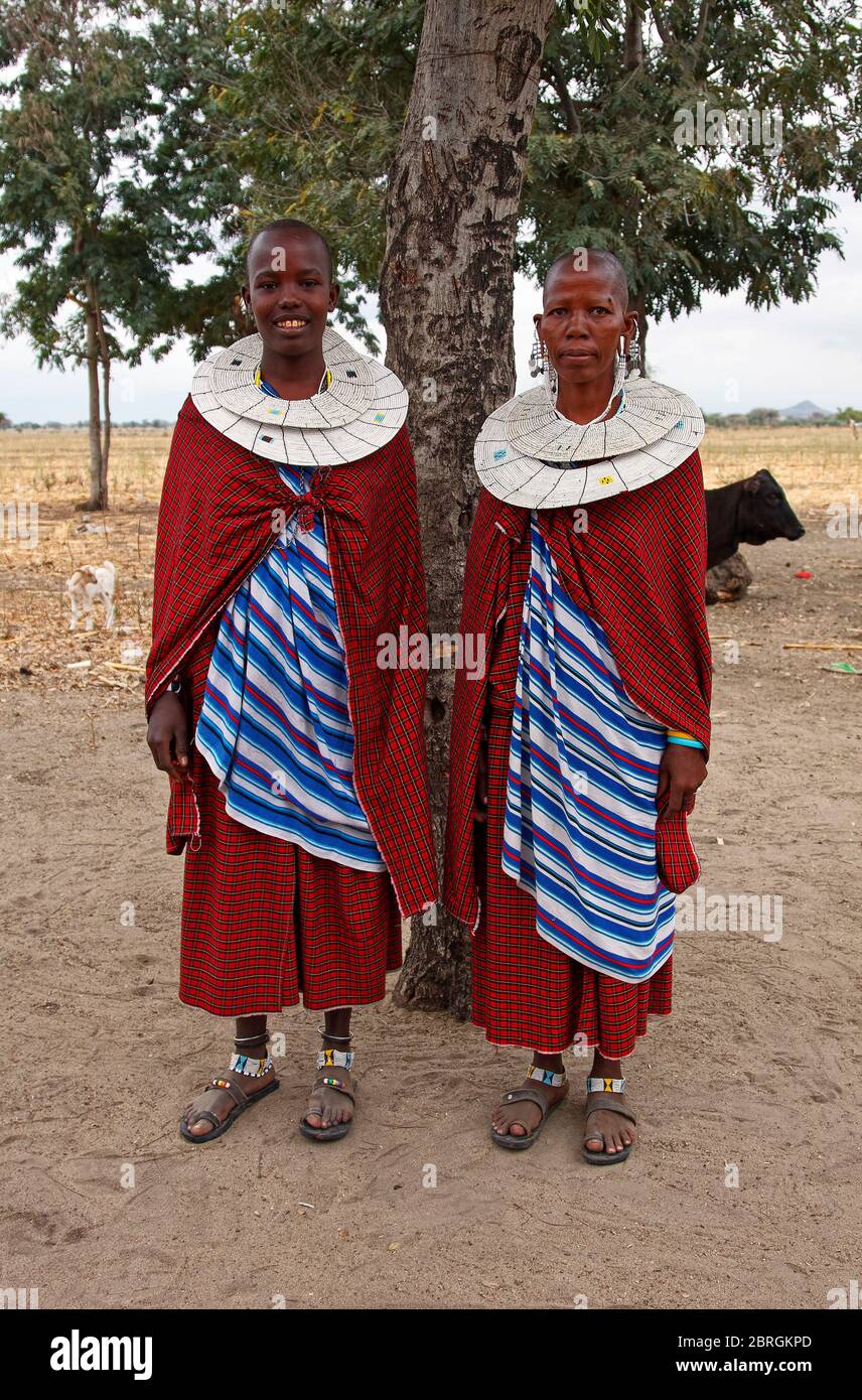 two Maasai woman; full length portrait, smiling, traditional dress, red, blue, white beaded double collar, large earings, gaping holes in ear, Tanzani Stock Photo