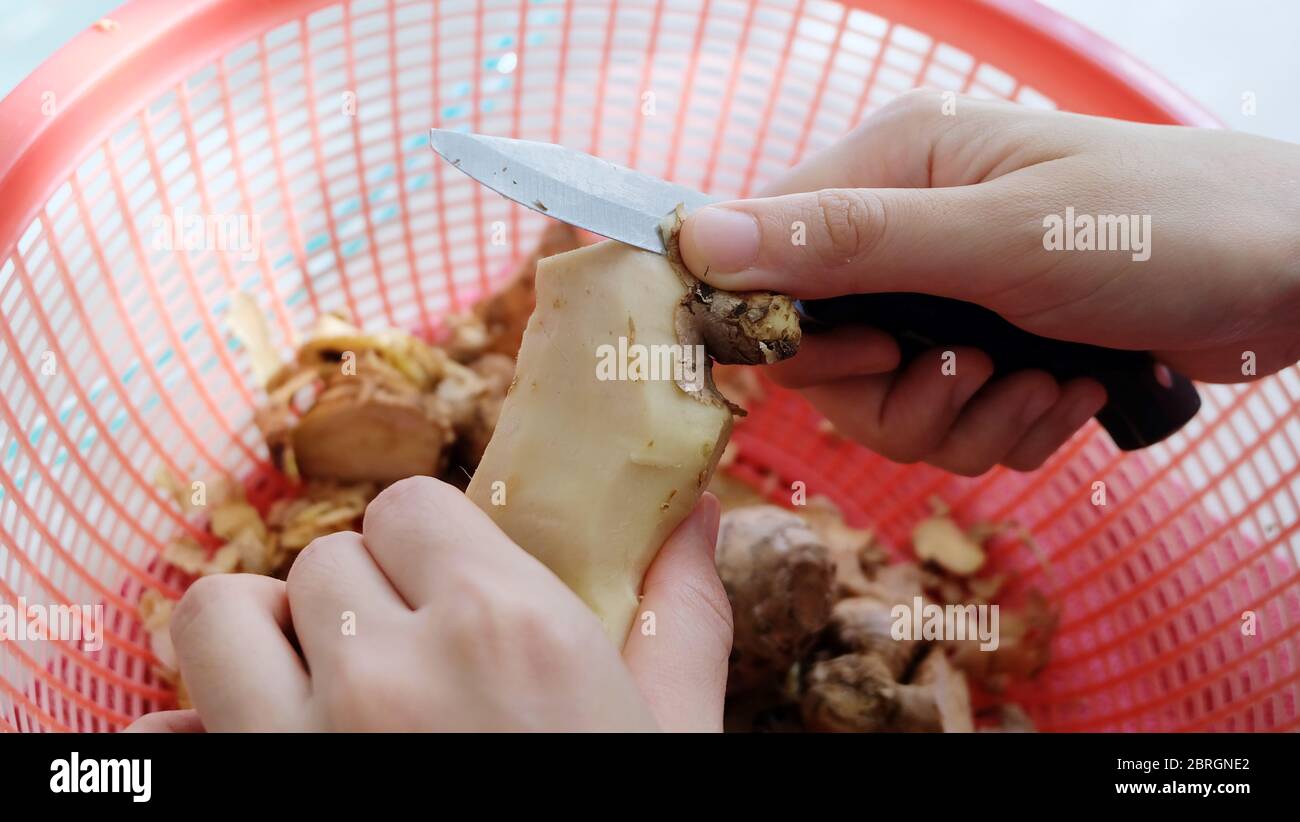 Hand holding a piece of ginger, with the other hand holding a small knife trying to peel its skin. Stock Photo