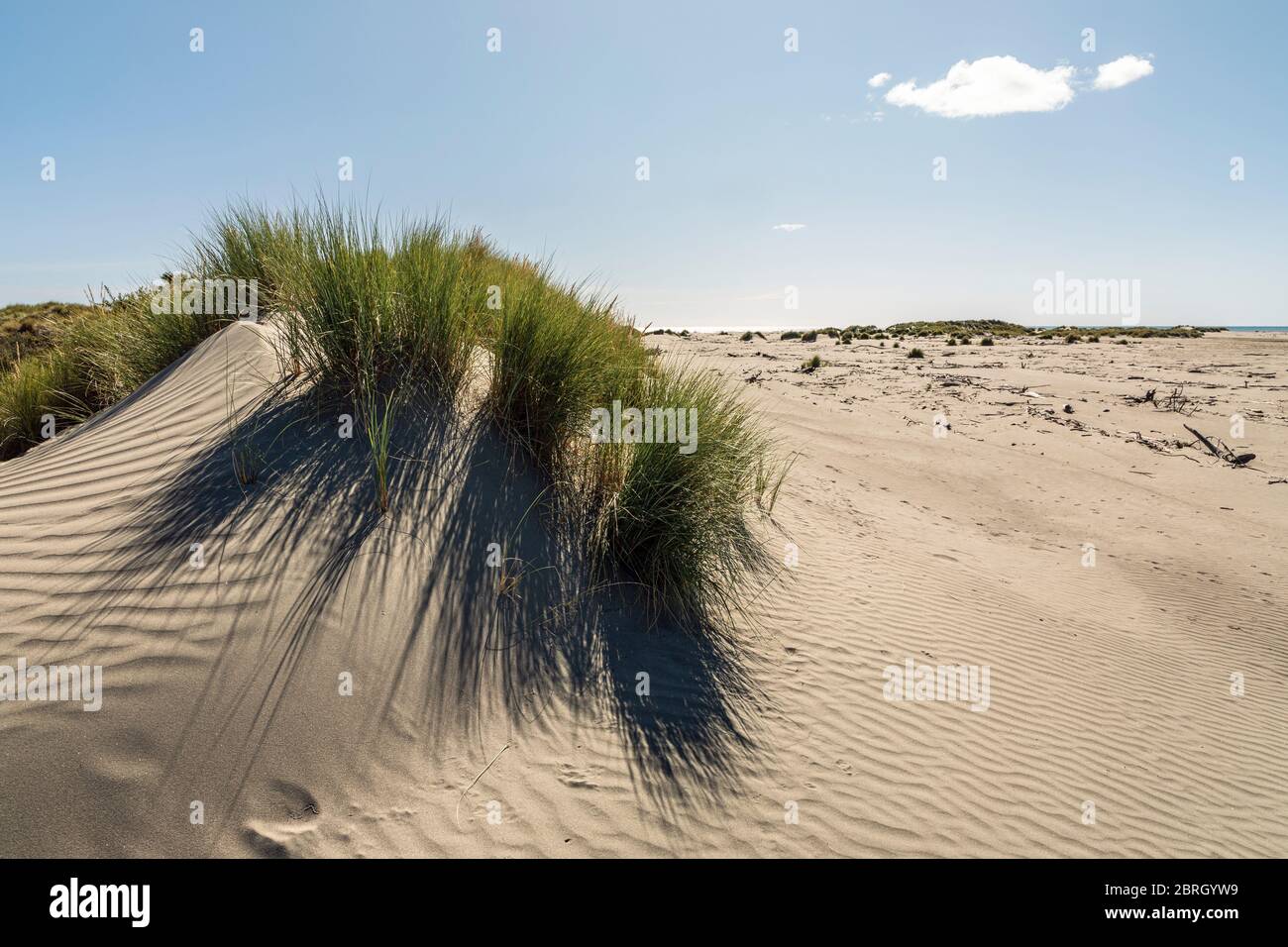 Sand dunes at Kuku Beach, Kapiti Coast, Manawatu-Wanganui, North Island, New Zealand Stock Photo
