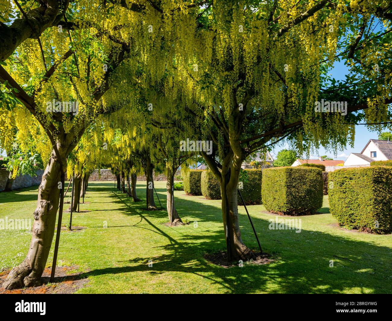 Prestonpans, East Lothian, Scotland, United Kingdom, 21st May 2020. UK