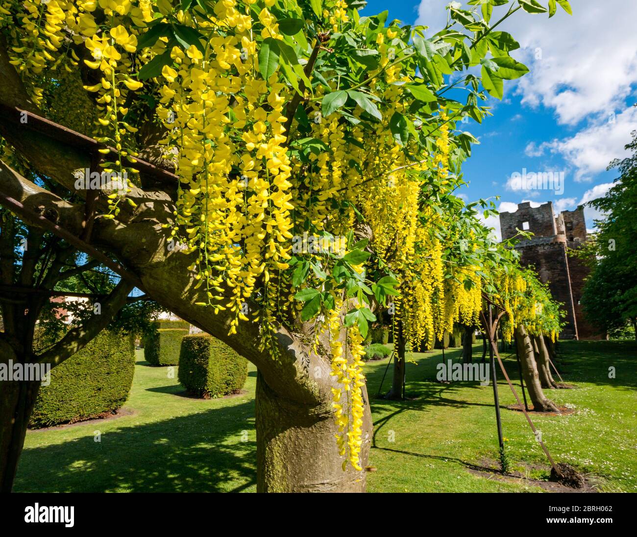 Prestonpans, East Lothian, Scotland, United Kingdom, 21st May 2020. UK