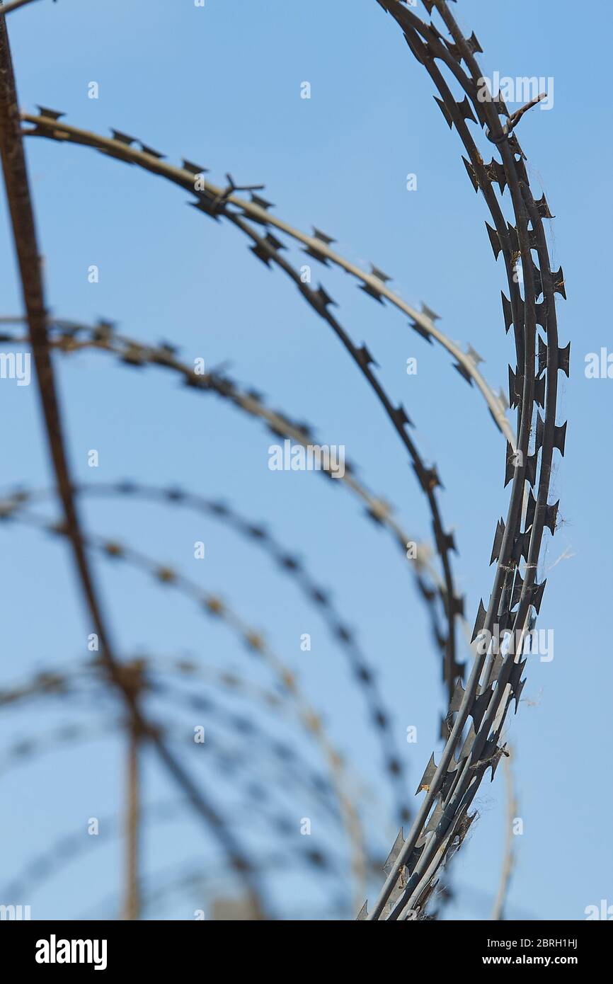 Spiral barbed wire against the blue sky, vertical image. Stock Photo