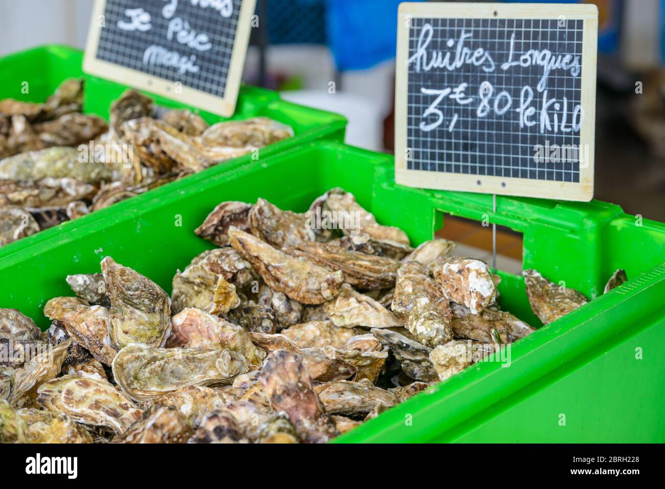 Oyster Farming Charente Maritime France High Resolution Stock