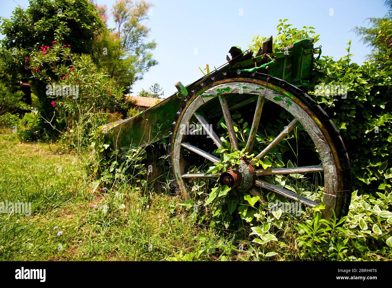 Old Wooden Horse Cart Carriage Wheels Vintage Photo Stock Photo - Alamy