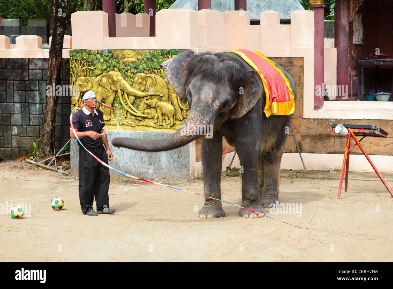 PHUKET, THAILAND - DECEMBER 11, 2010: Elephant show in Phuket island zoo in Thailand Stock Photo