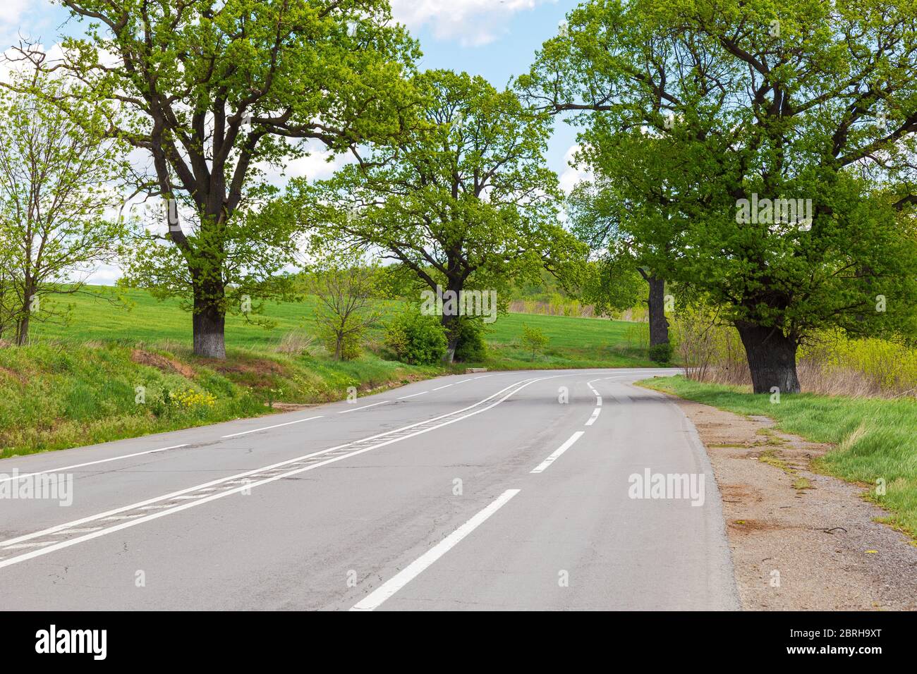 Paved road with road markings and trees on the side of the road in summer day. Stock Photo