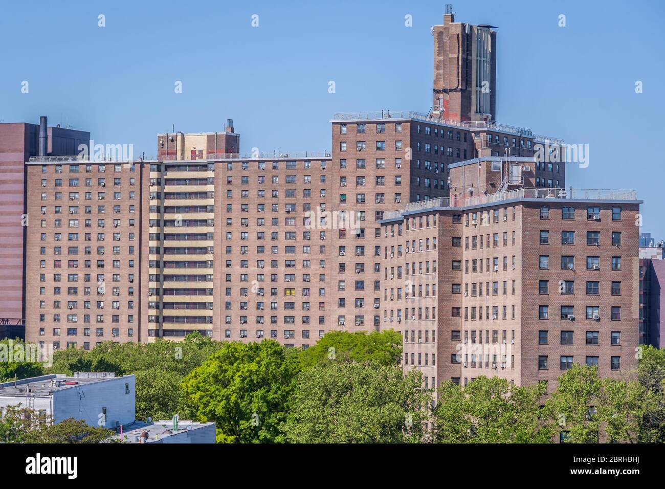 Bushwick Houses, a NYCHA operated housing project in Brooklyn. The