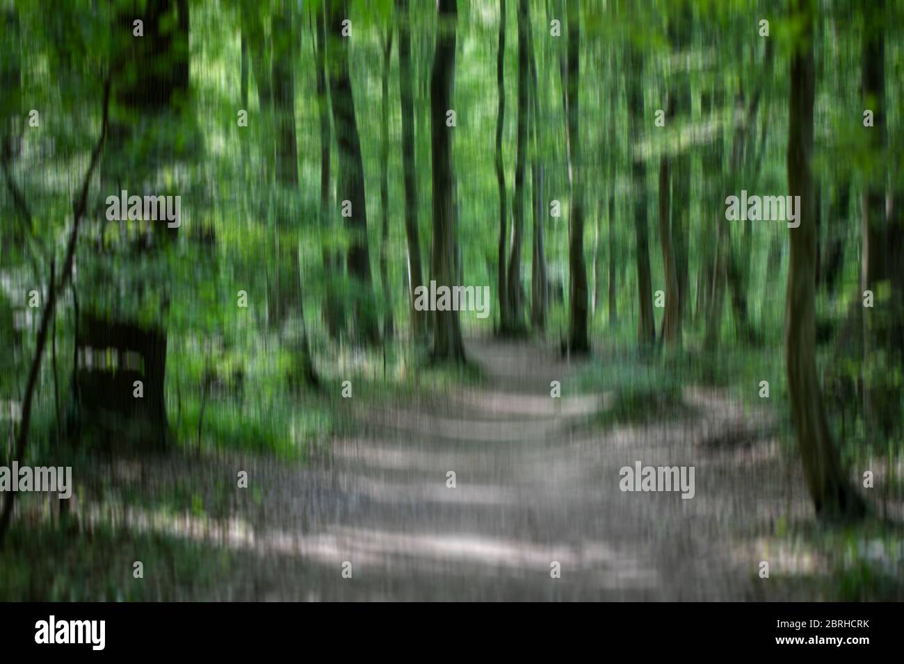 A blurry green forest path Stock Photo