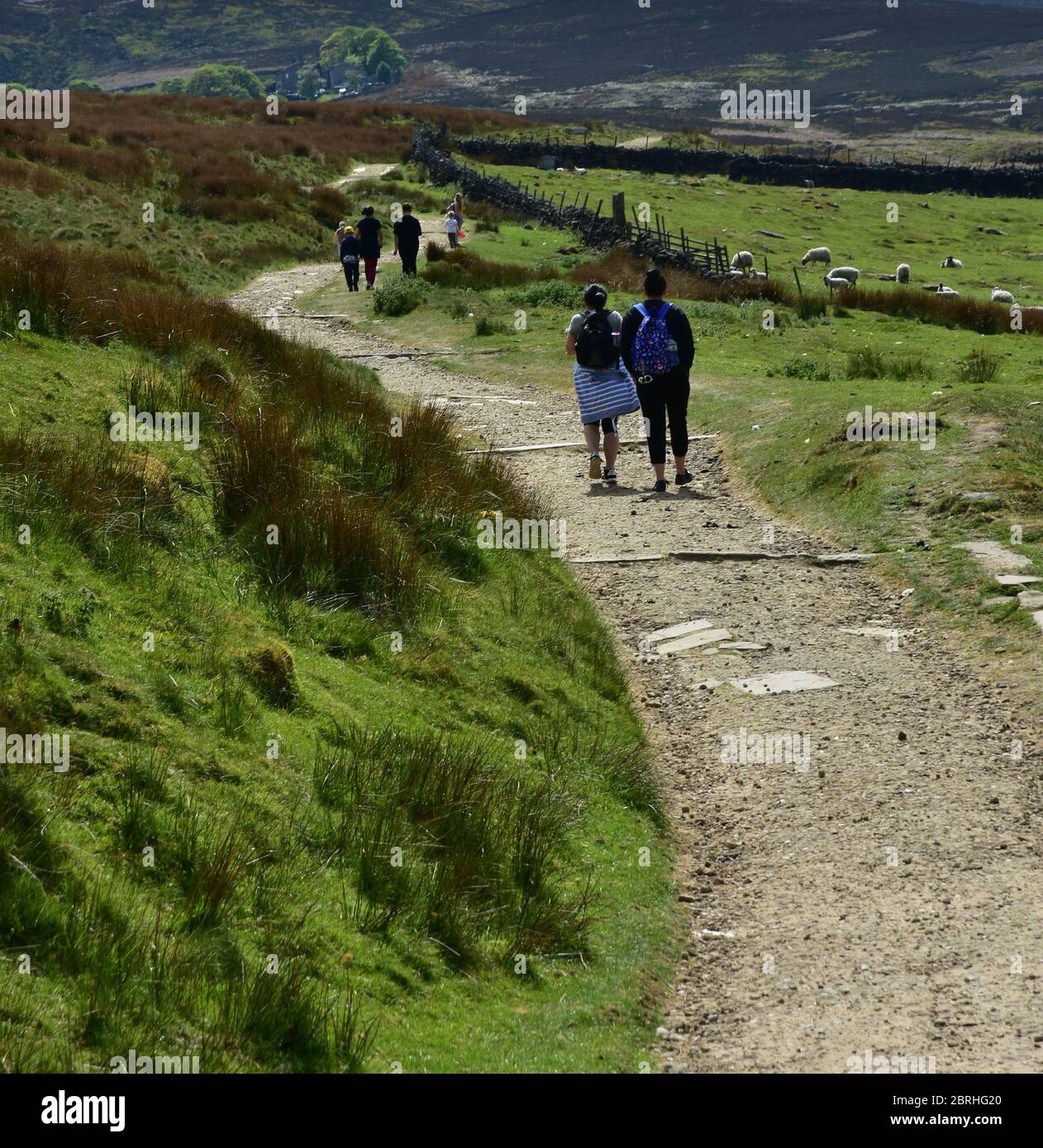 Walkers in Bronte country in Spring, Haworth Moor , West Yorkshire