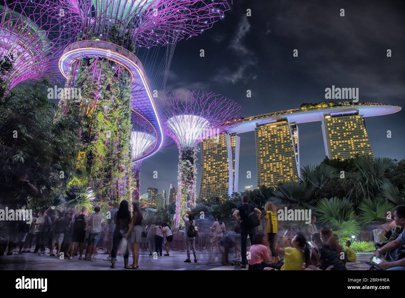 Dramatic lighting of the Supertrees in the Gardens by the Bay overlooking the Marina Sands Hotel in Singapore. Stock Photo