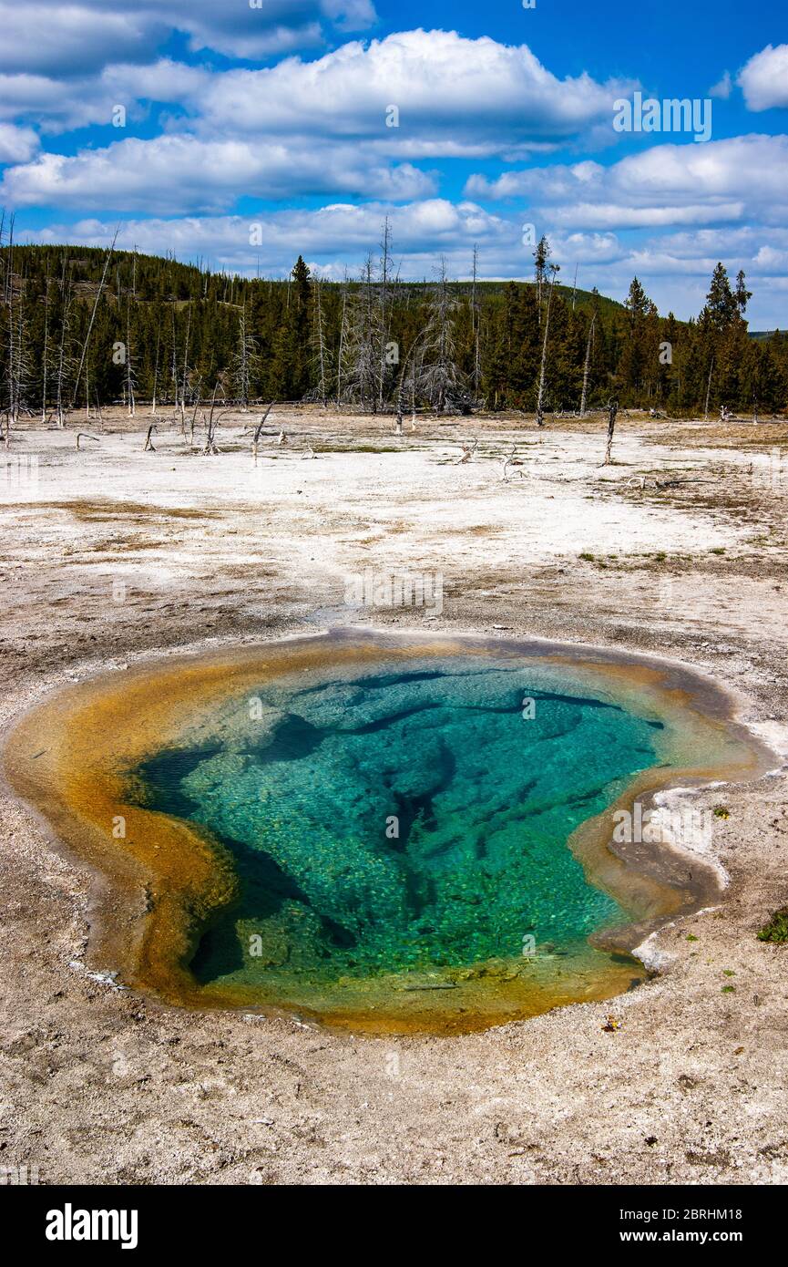 Small hot Spring Stock Photo - Alamy