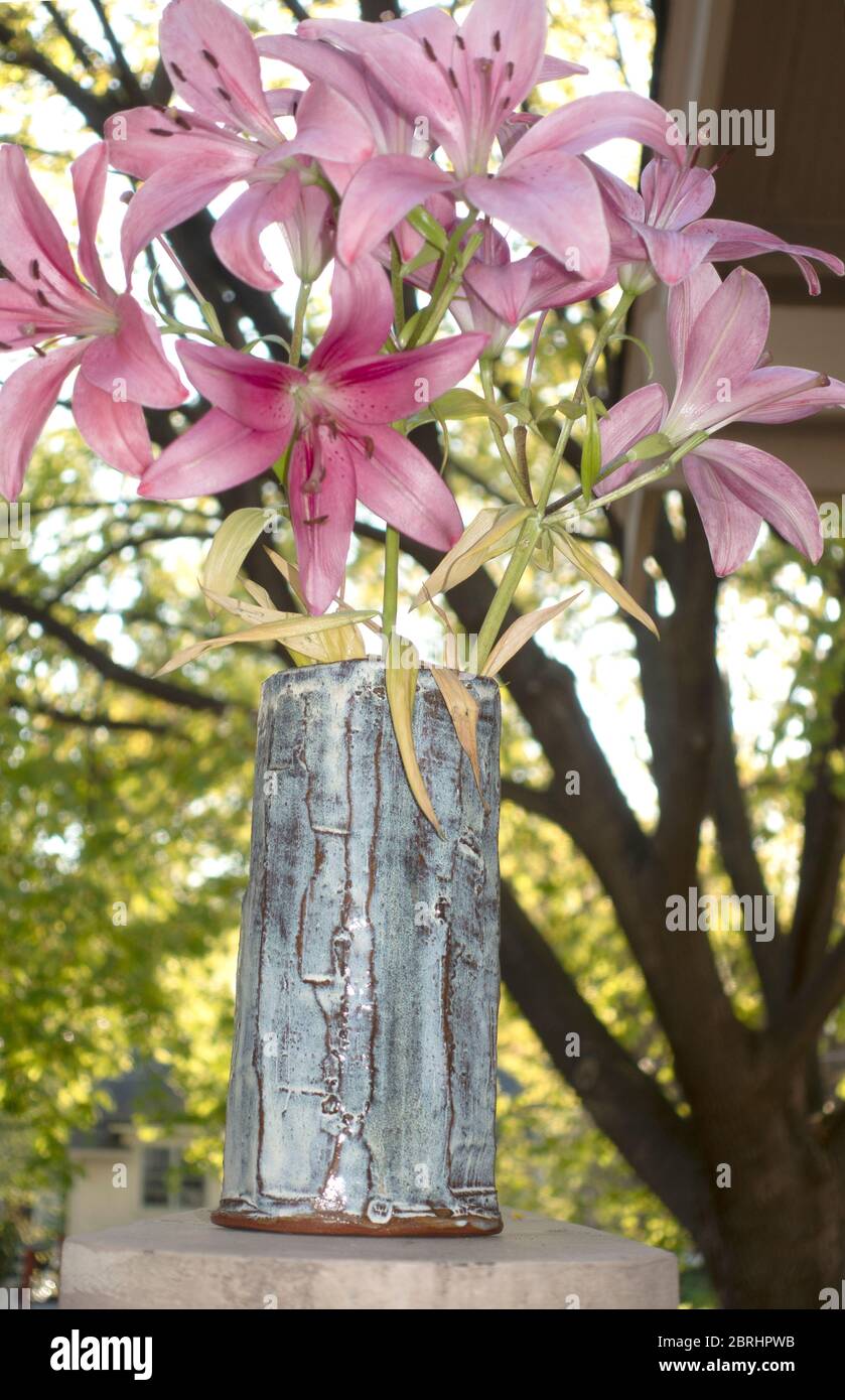 Pottery vase with pink lilies.  St Paul Minnesota MN USA Stock Photo
